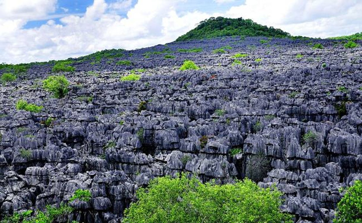 Fashion Tsingy, no Parque Nacional de Ankarana, em Madagascar | Malas ...