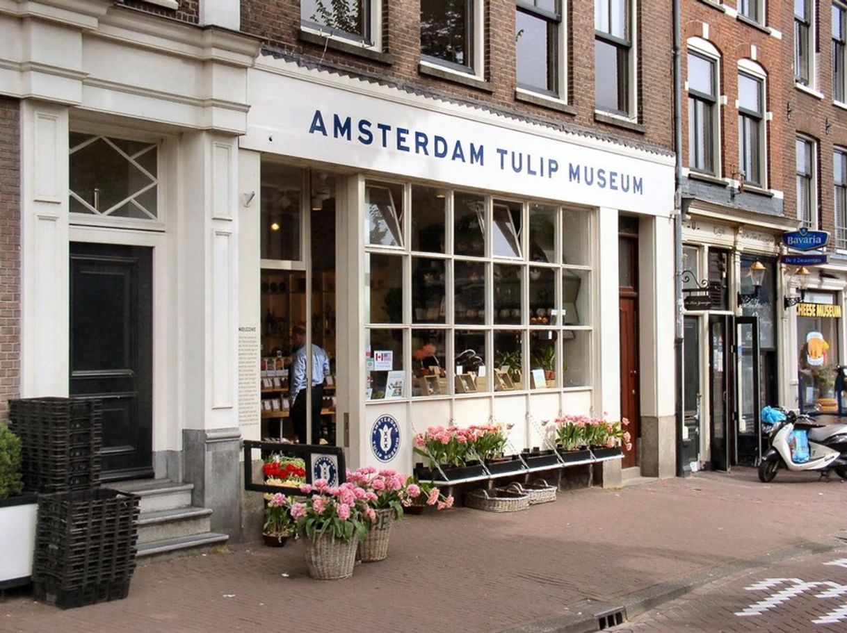 Place Amsterdam Tulip Museum