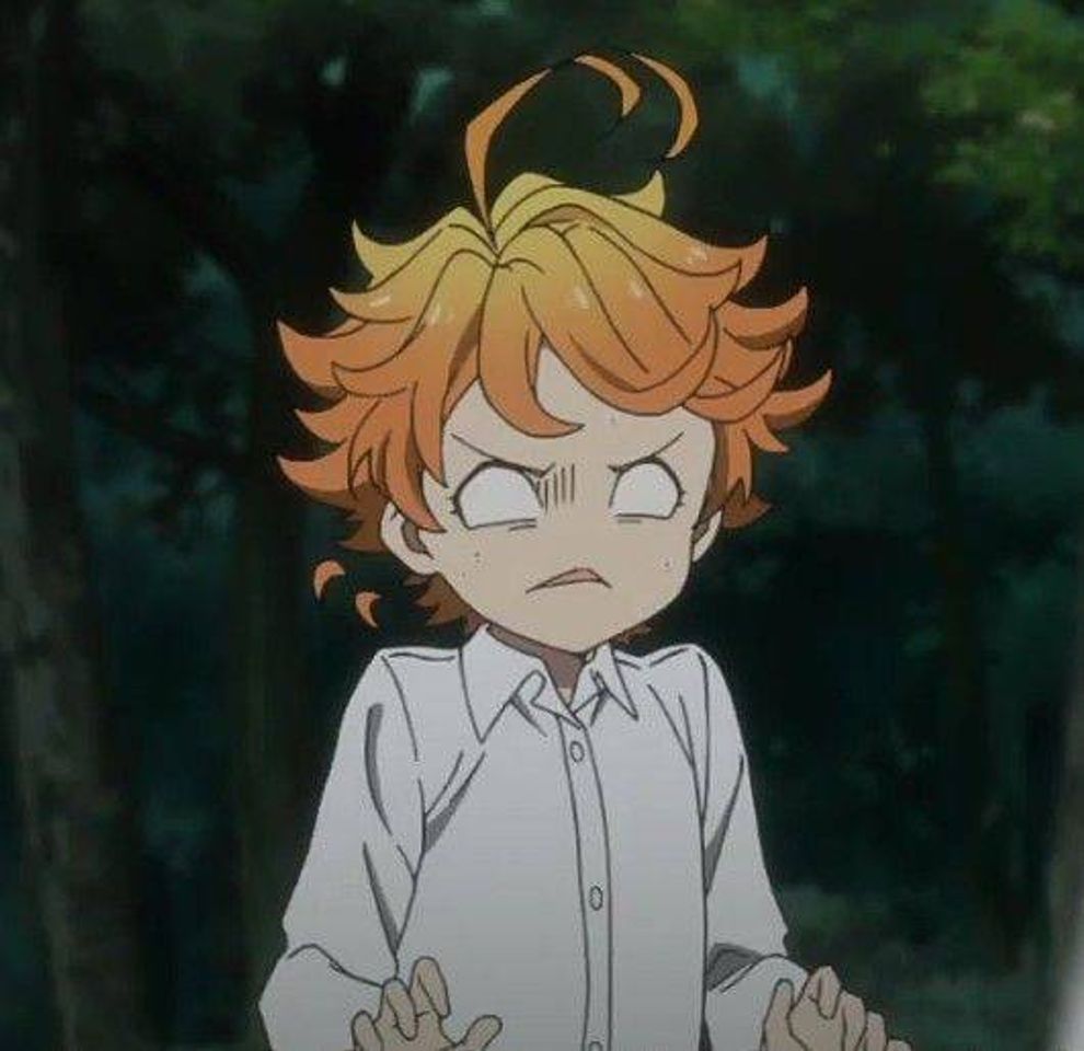 The Promised Neverland