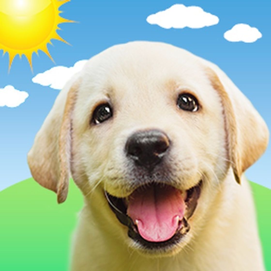 App Weather Puppy Forecast + Radar