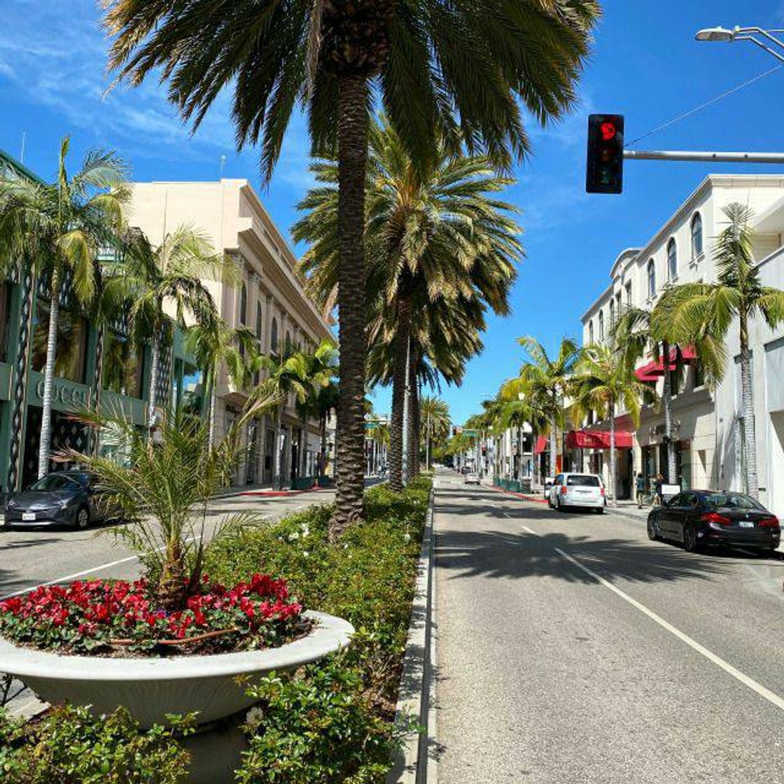 Moda Beverly Hills