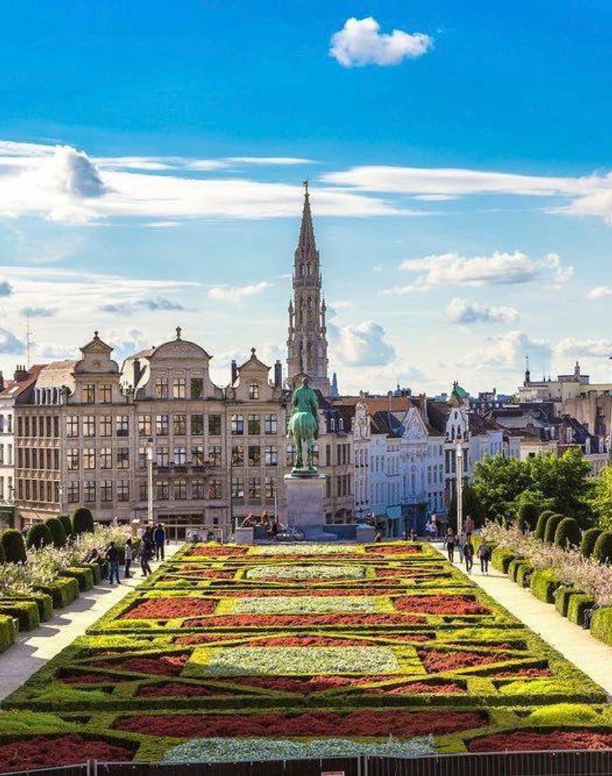 Social Bruxelas - Bélgica