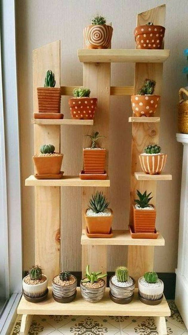 Fashion #Plantas