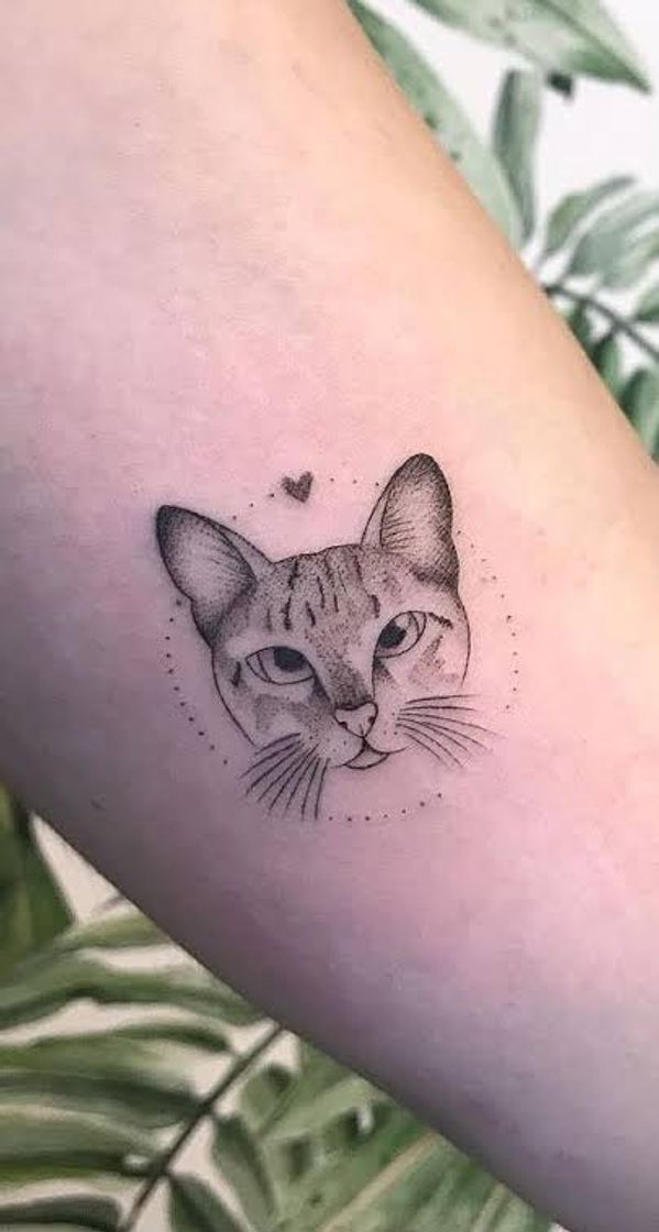 Social Tattoo gatinho ❤️