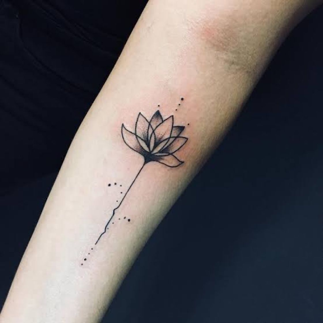 Social Tattoo Tatuagem - Tatuagens Femininas 