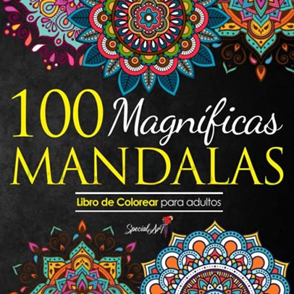 Libro 100 Magnificas Mandalas: Libro de Colorear