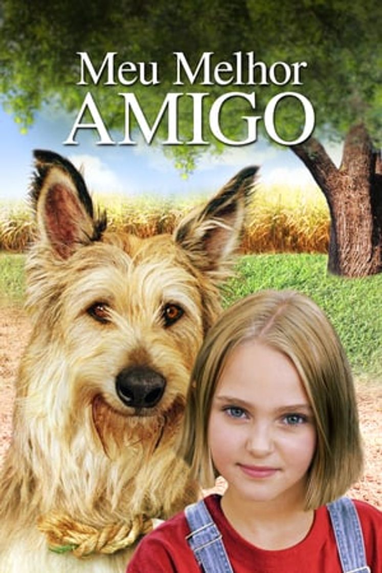 Película Mi mejor amigo