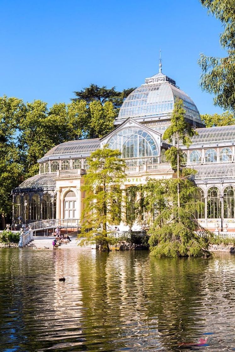 Fashion Palácio de cristal - Entrada ✨