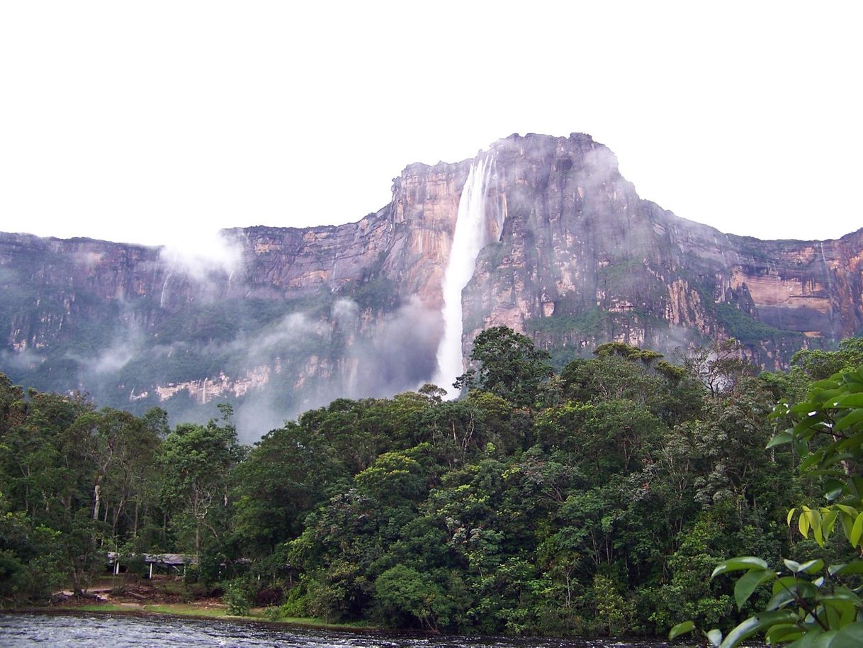 Place El Salto Angel Agua Purificada