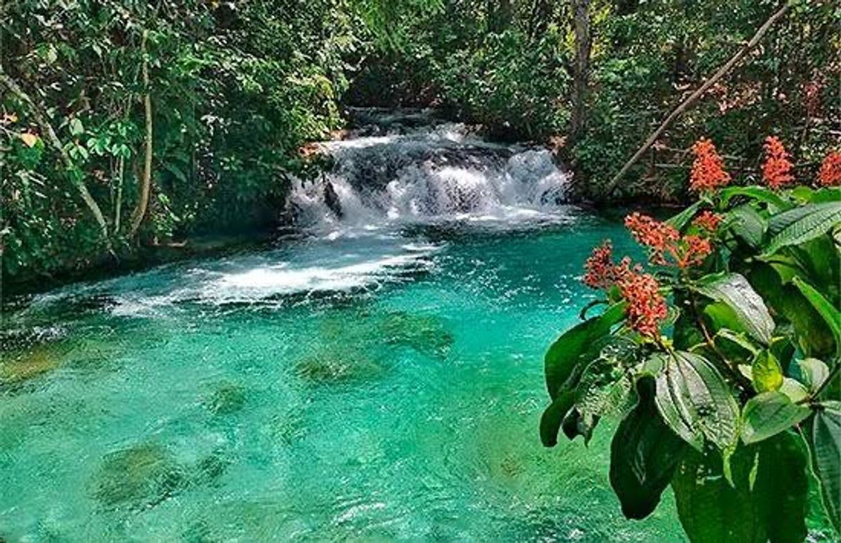 Lugar Parque Estadual do Jalapão