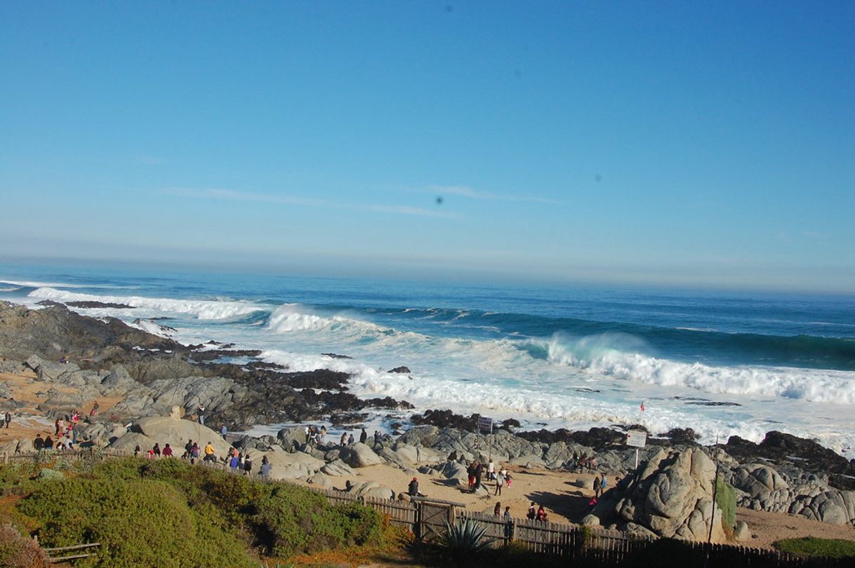 Places Isla Negra