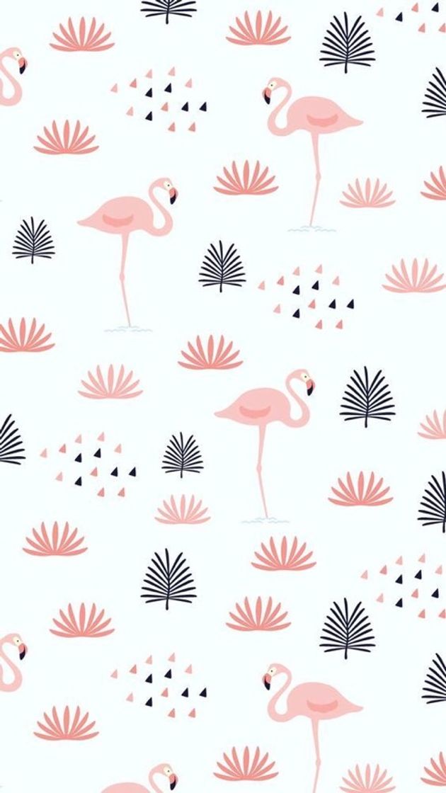 Moda flamingos 