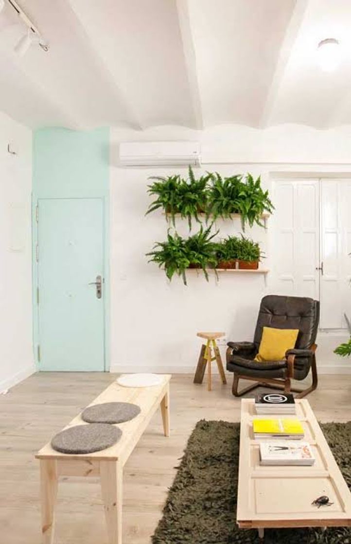 Social Plantinhas