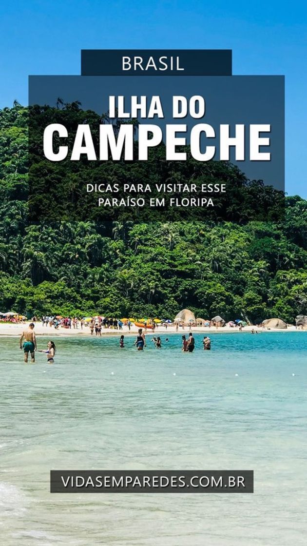 Social Ilha do campeche- Florianópolis- SC