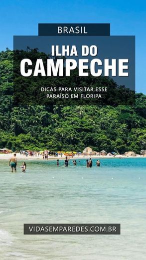 Ilha do campeche- Florianópolis- SC