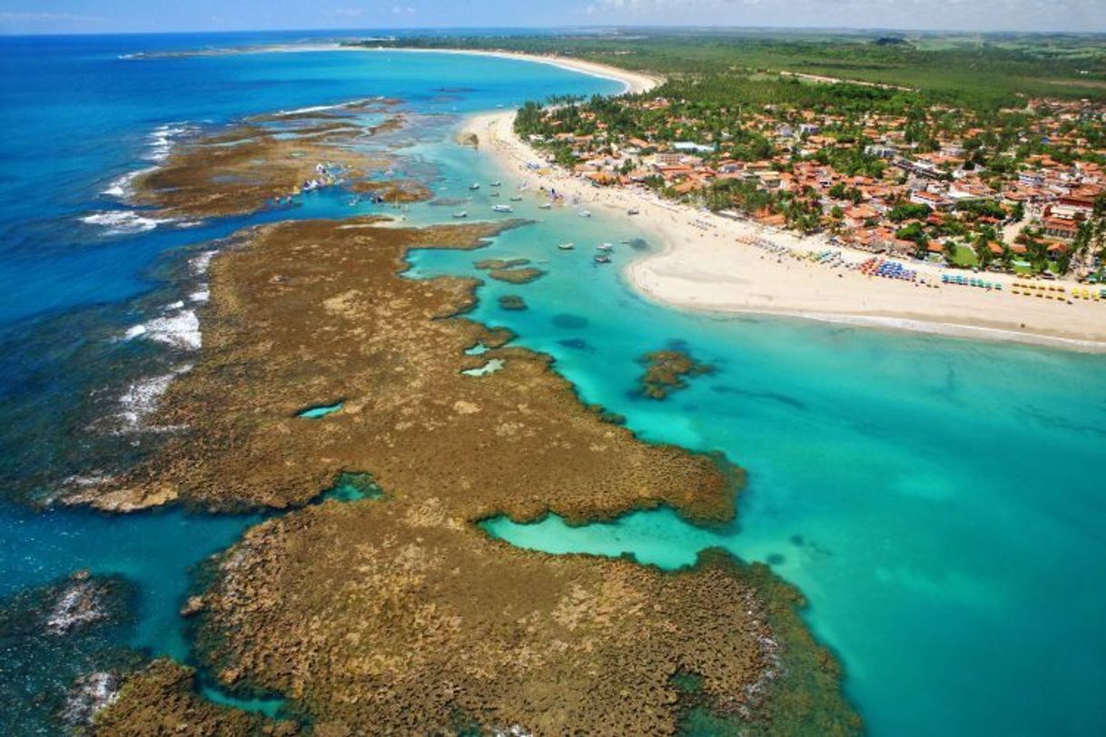 Lugar Praia de Porto de Galinhas