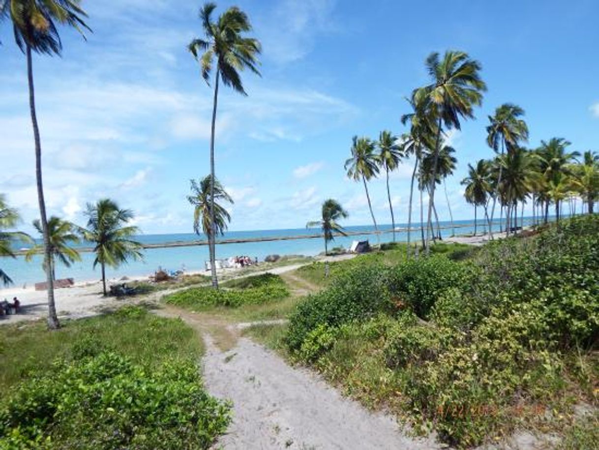 Lugar Estrada Acesso para Praia de Muro Alto e Camboa