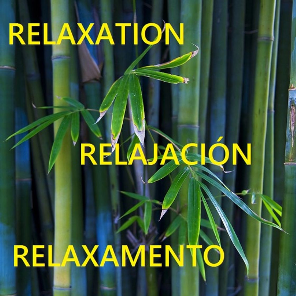 Aplicaciones Relaxation Techniques - Calm your mind