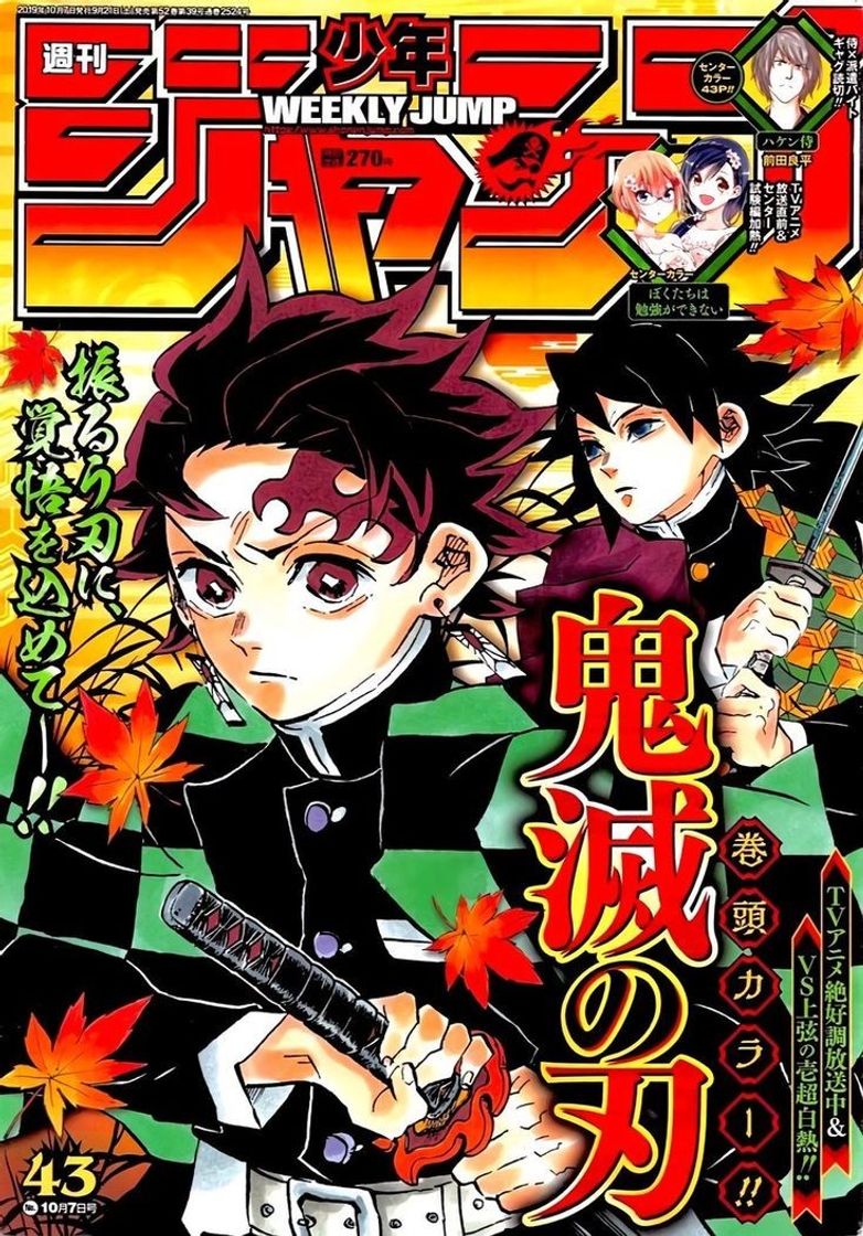 Serie Kimetsu no Yaiba: Guardianes de la Noche