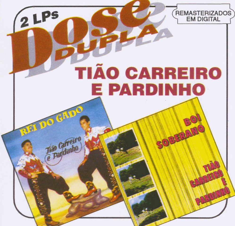 Canción Rei do gado
