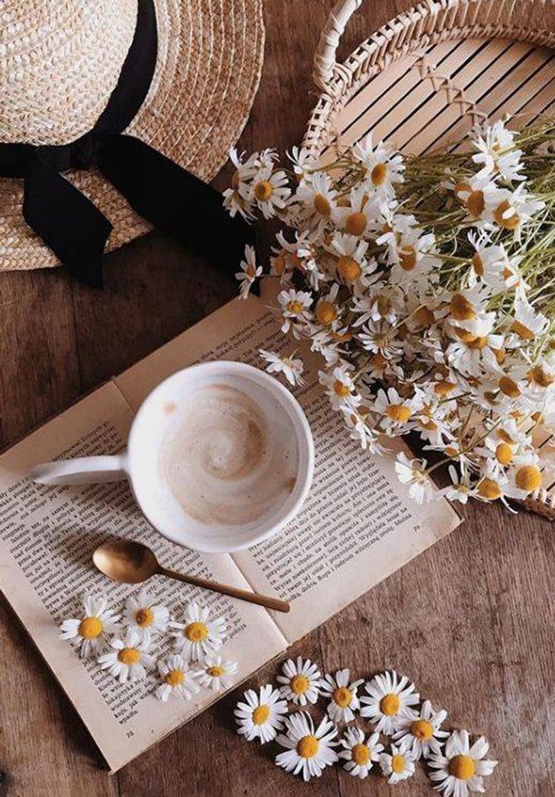Social Vai um livro acompanhado de um bom chá?