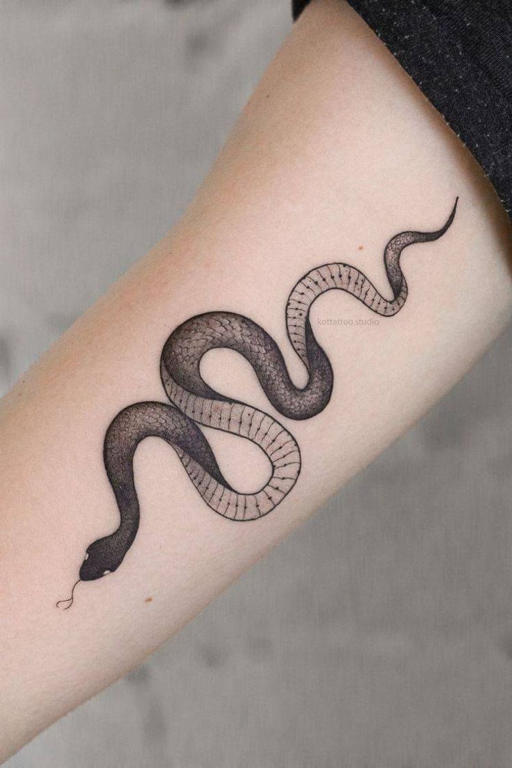 Fashion Tattoo de cobra