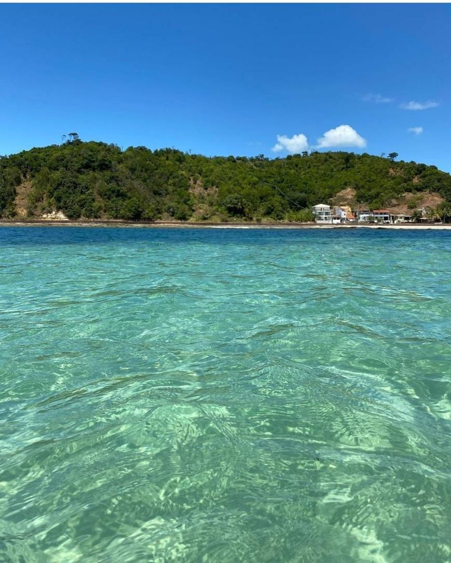 Moda Paraísos da bahia🏝️