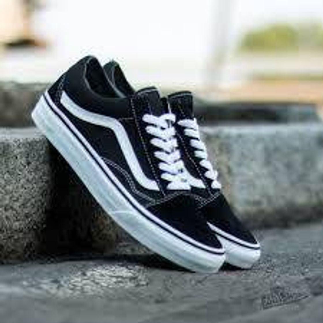 Social Vans Ward Canvas, Zapatillas Hombre, Negro