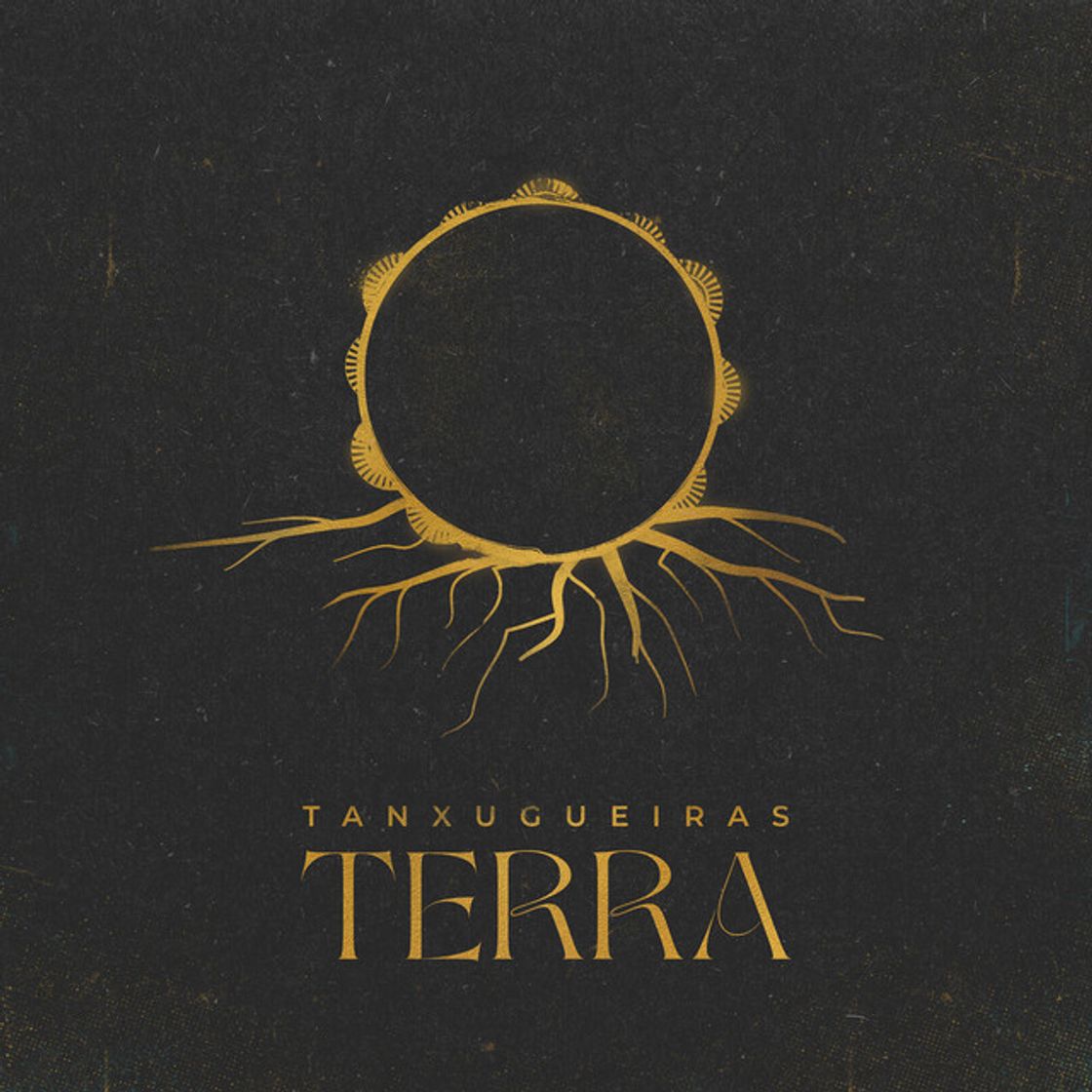 Music Terra