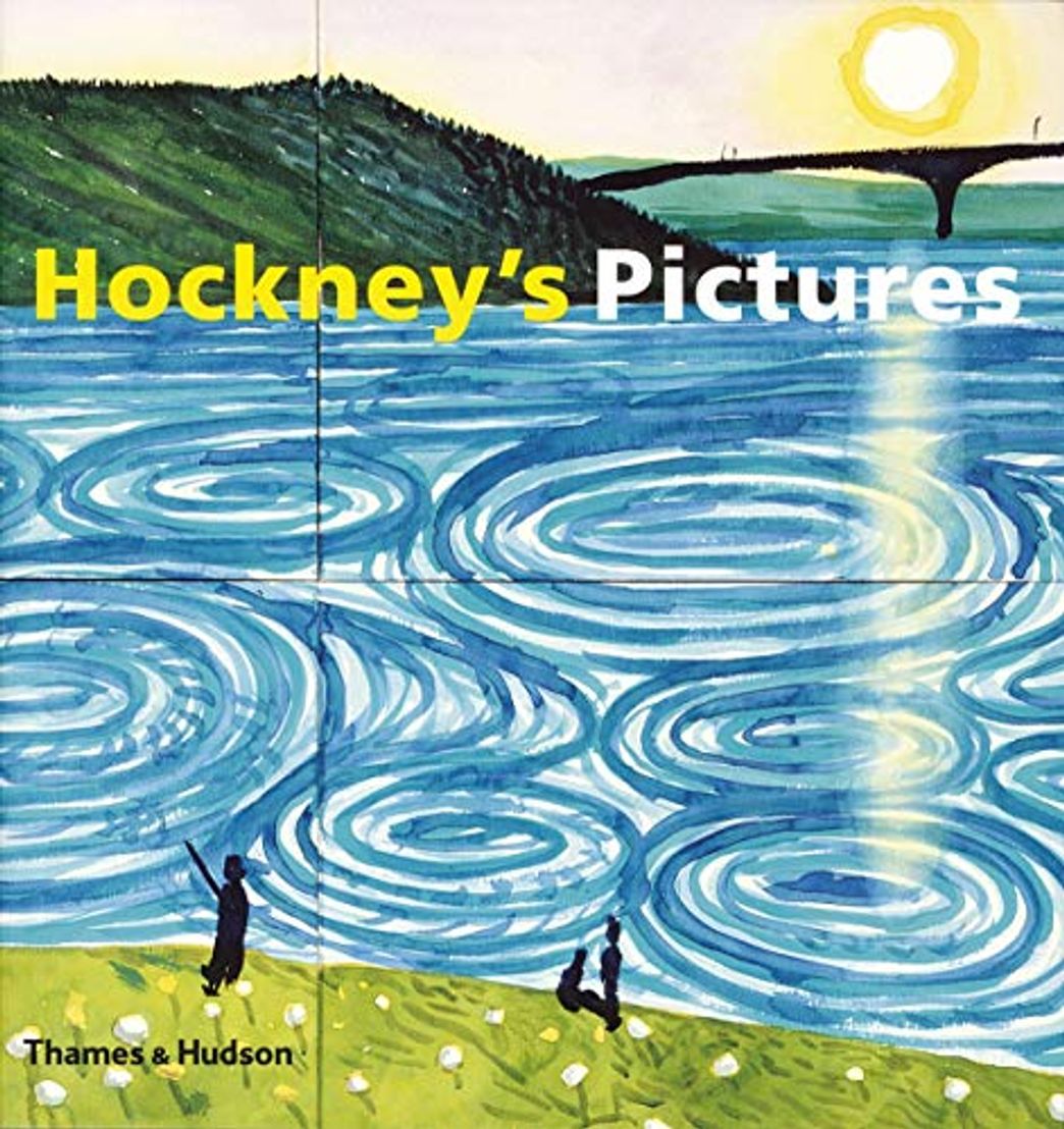 Books Hockney's Pictures