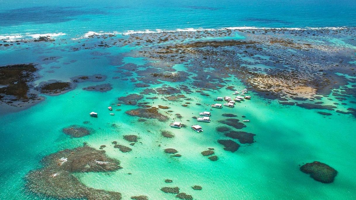 Lugar Piscinas Naturais de Maragogi