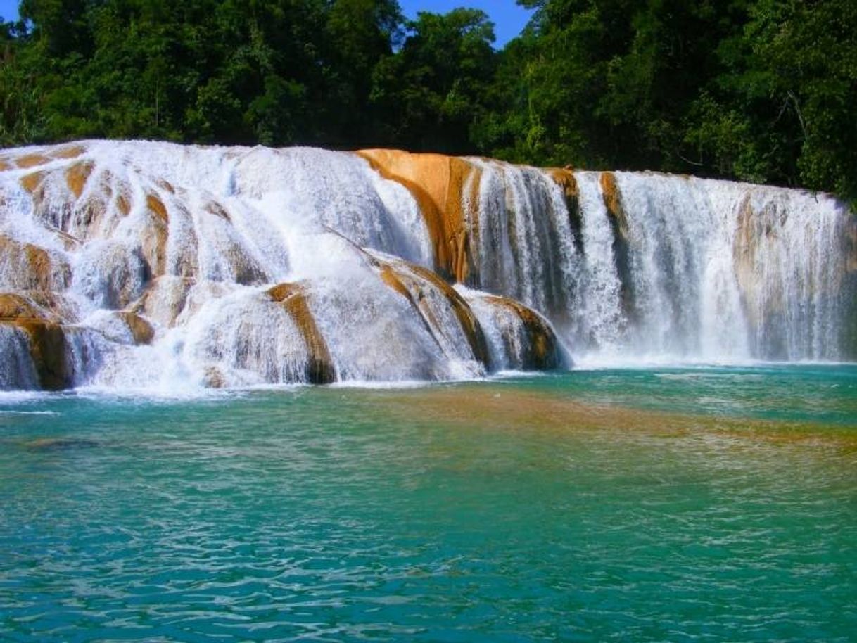 Lugar Cascadas de Agua Azul