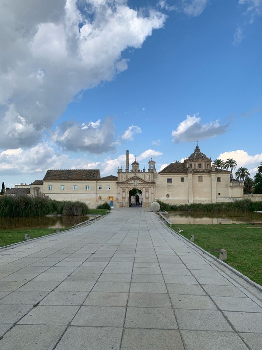 Place Monasterio de la Cartuja