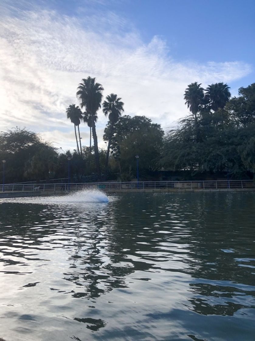 Place Jardines del Guadalquivir