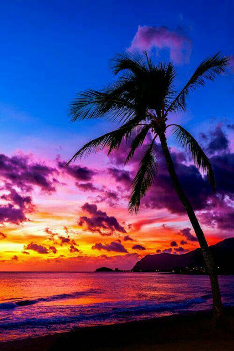 Social Por do Sol 