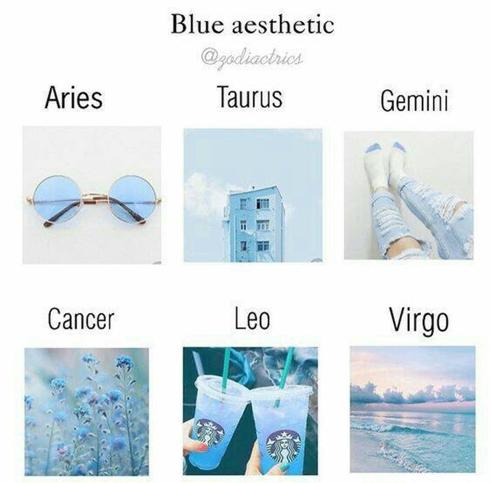 Social signos 