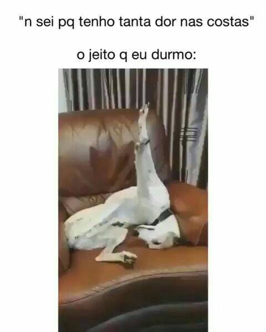 Social memes