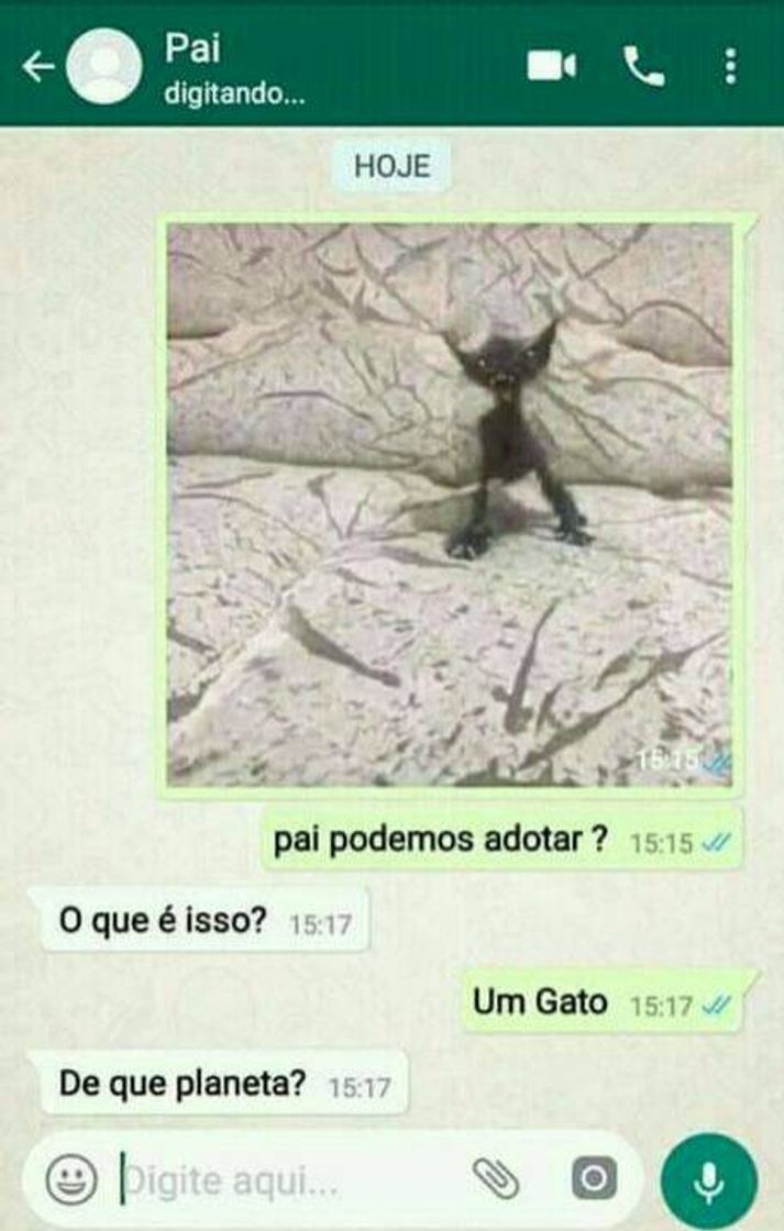 Social memes