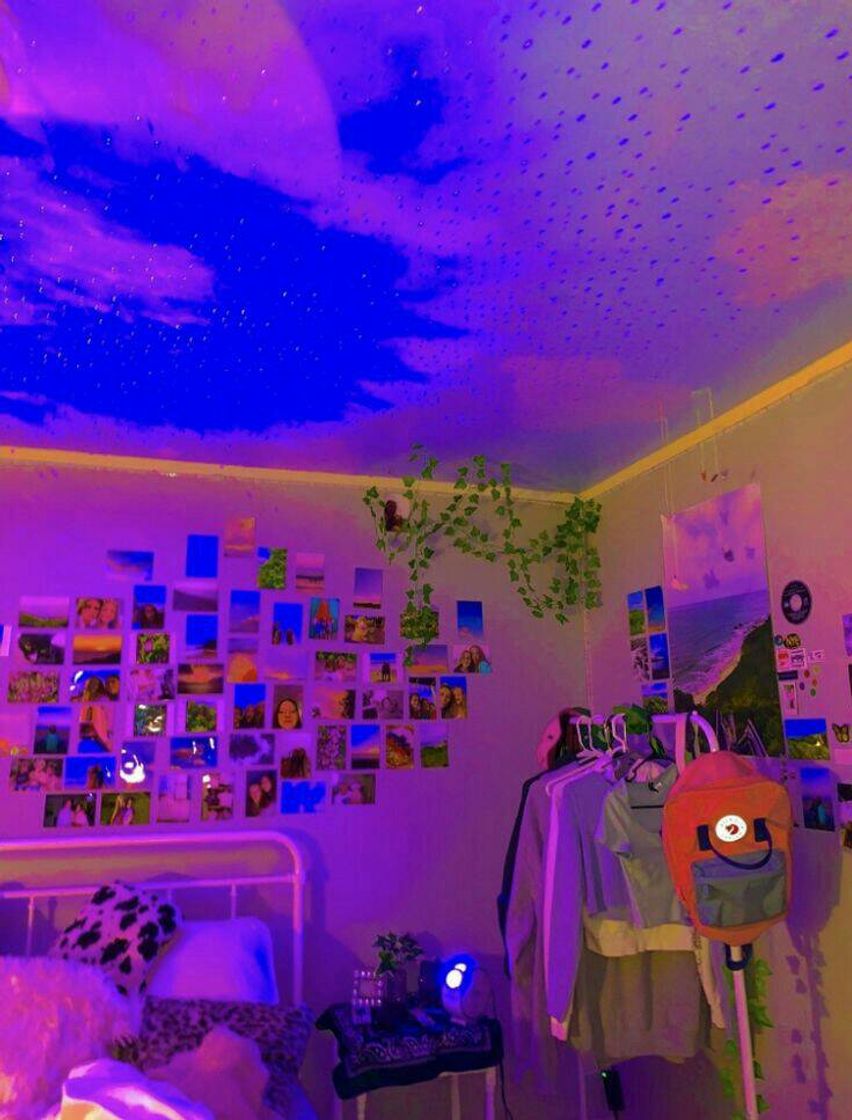 Social quarto 