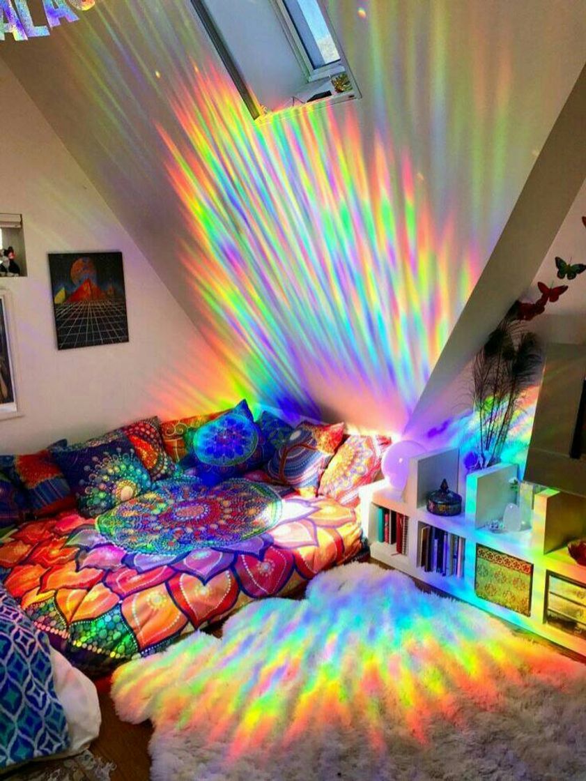 Social quarto
