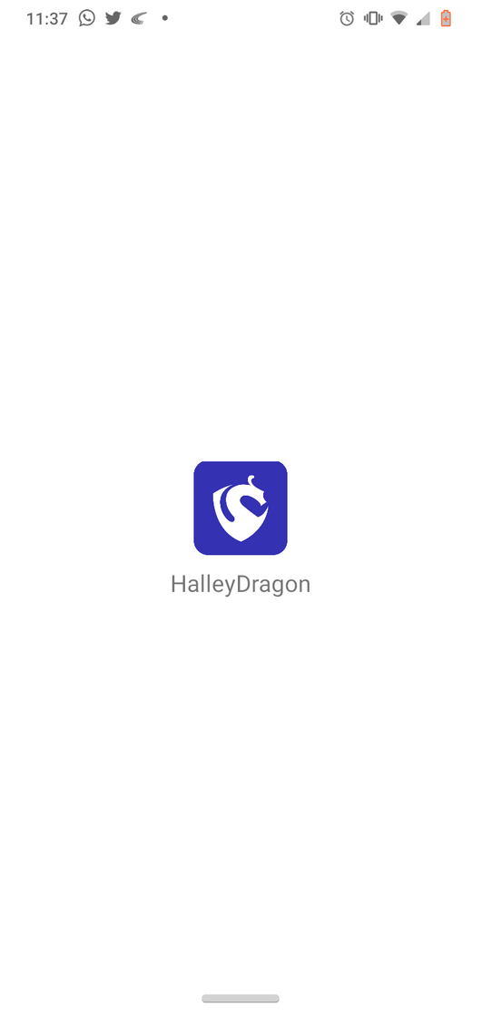 Fashion HalleyDragon