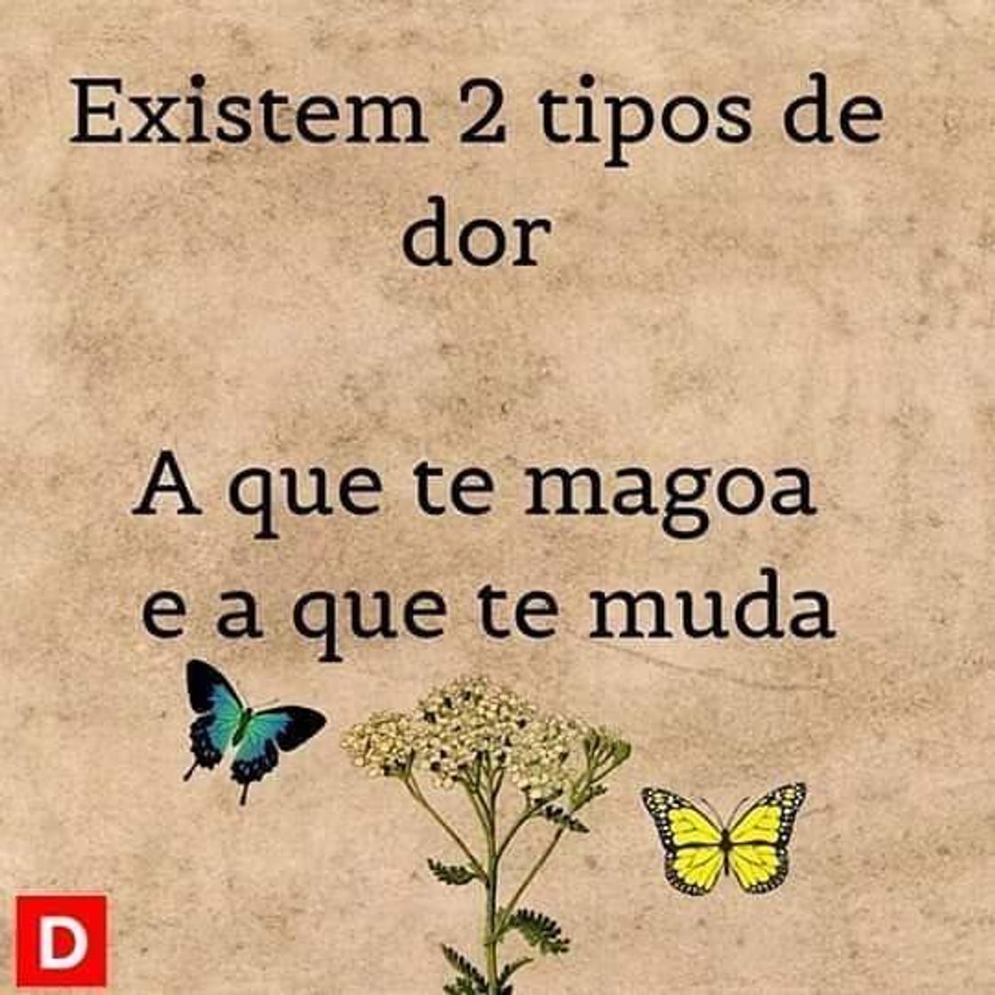 Moda Frases motivacionais