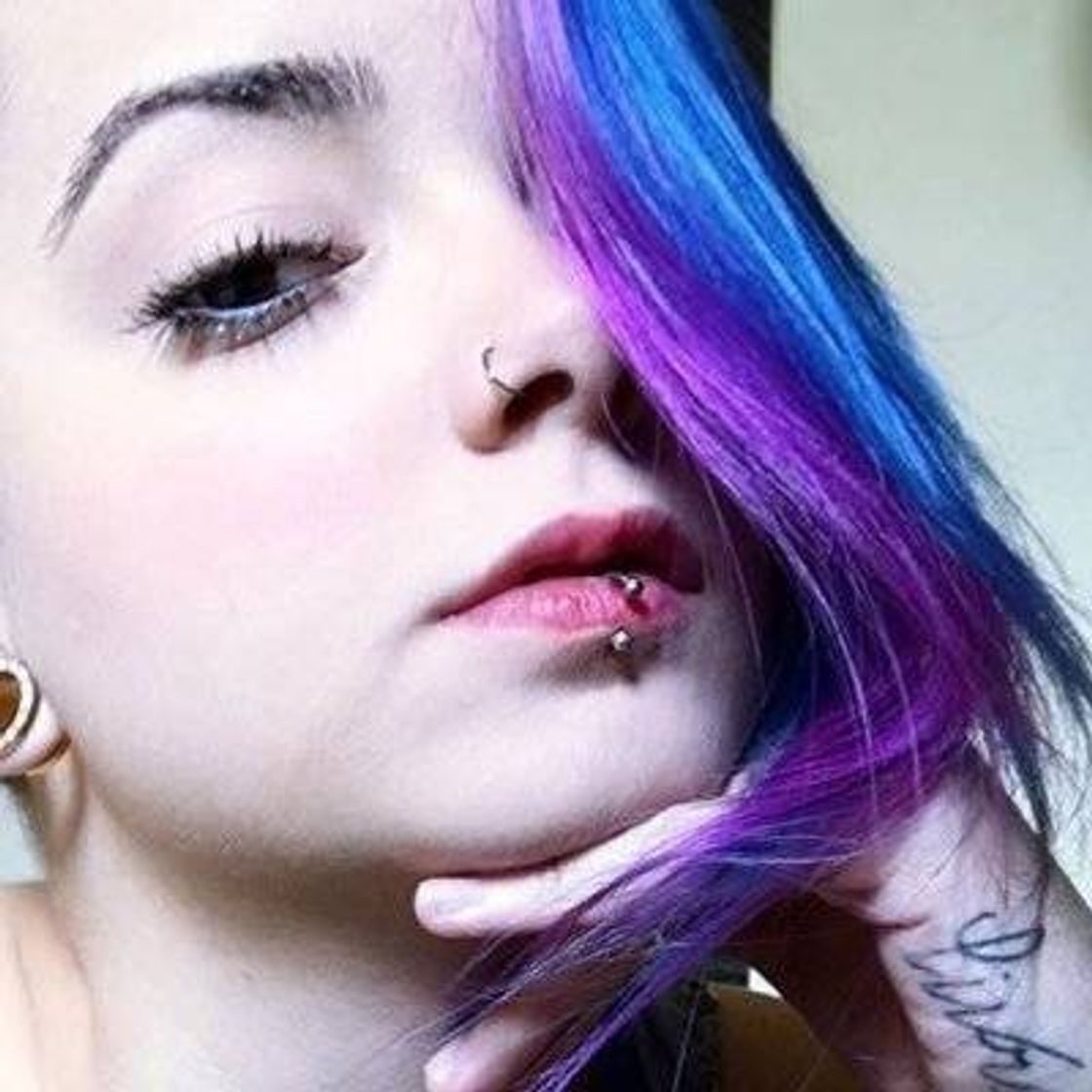 Social Diario de PLanducci