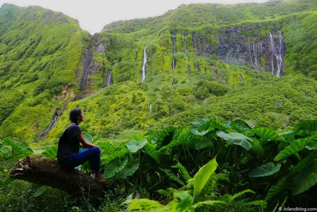 Lugar Ilha das Flores