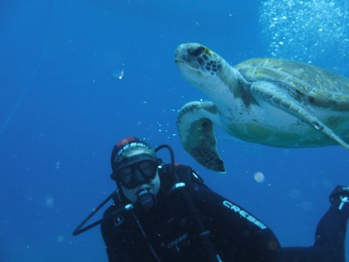 Place Buceo en Tenerife /Club de buceo Rincon de Arona / snorkeling en tenerife / bautizos