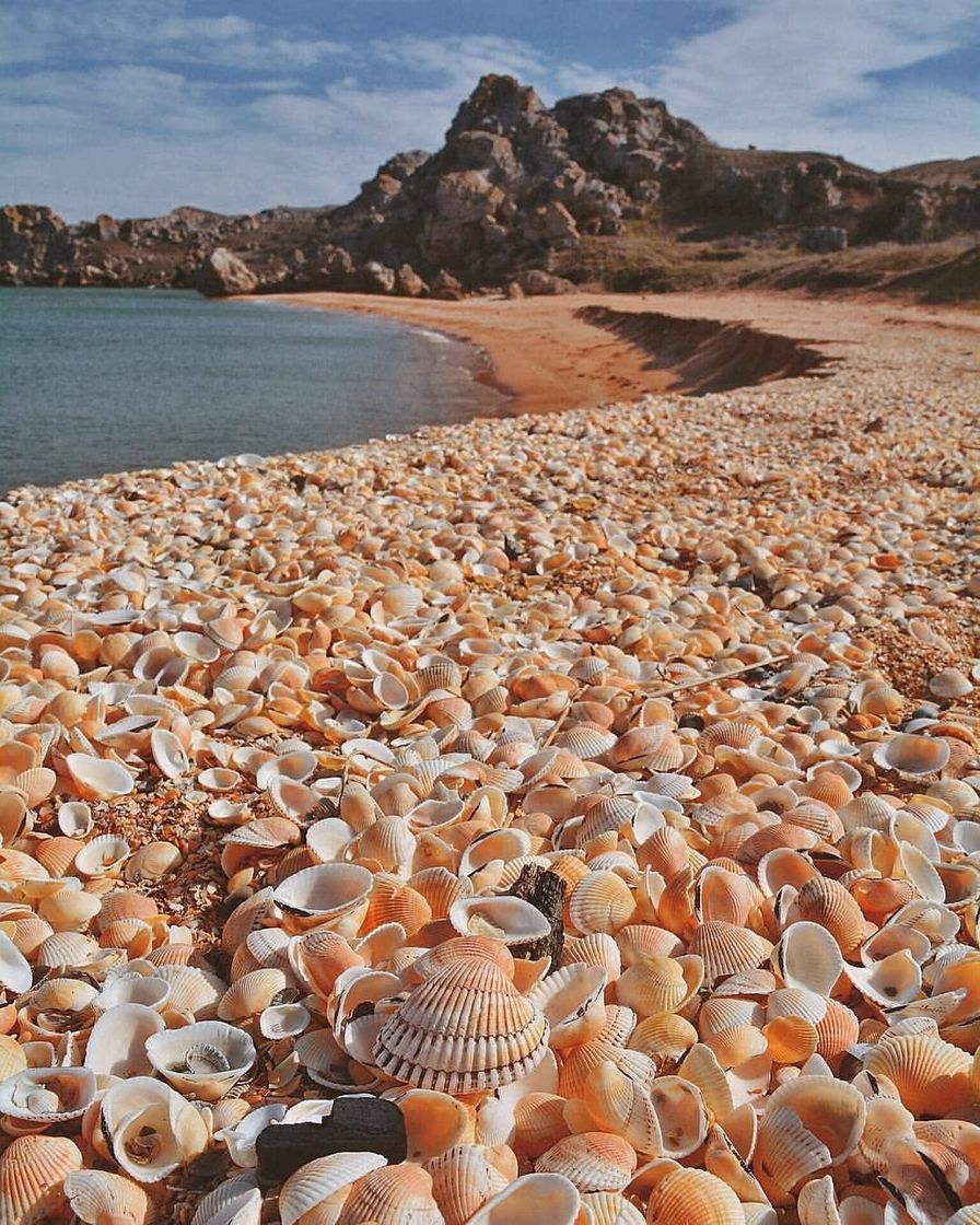 Moda A gratidão gera um mar de coisas boas 💙🐚