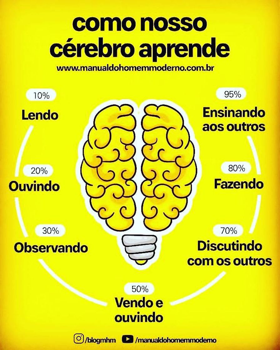 Product 4D Modelo de Cerebro