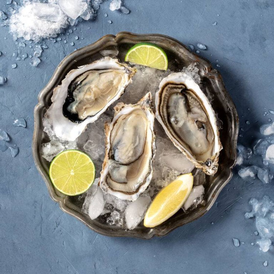 Social Juego de abridor de ostras Oyster Shucker, herramienta portátil para ostras, abridor