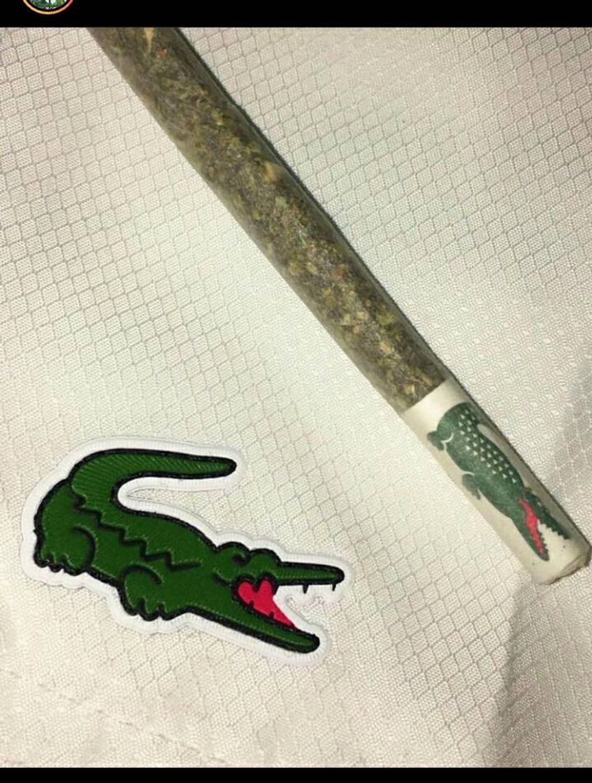 Fashion 🐊🍁