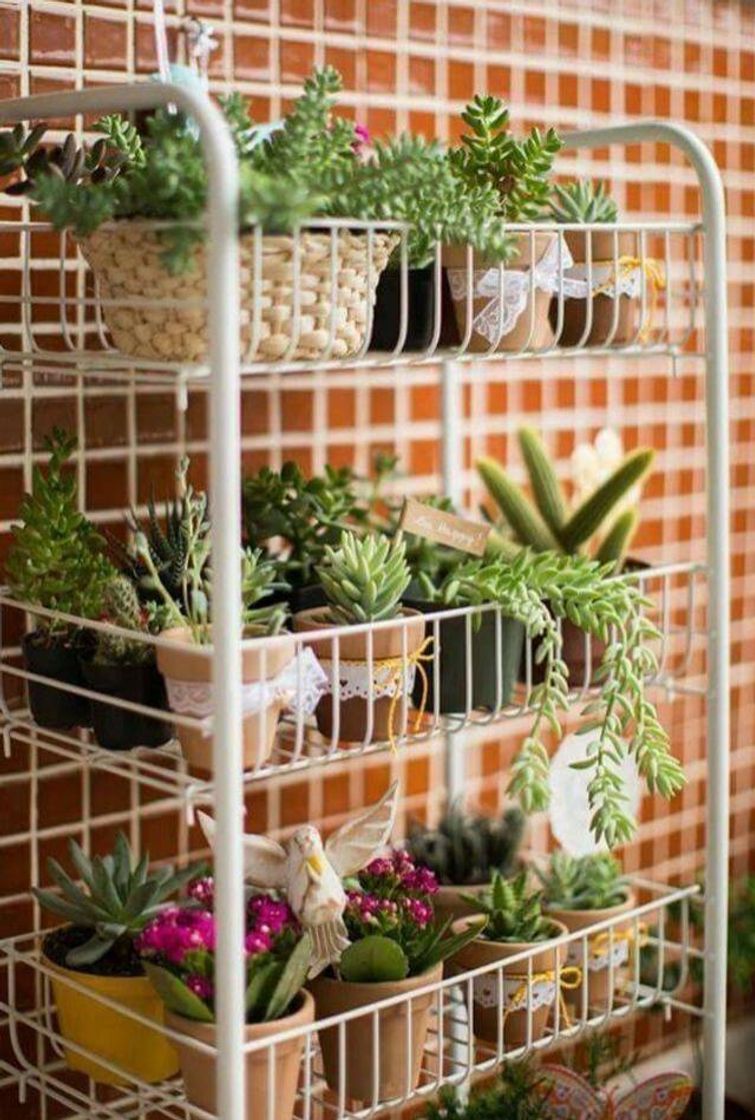 Aprenda fazer um jardim simples, barato e fácil de cuidar